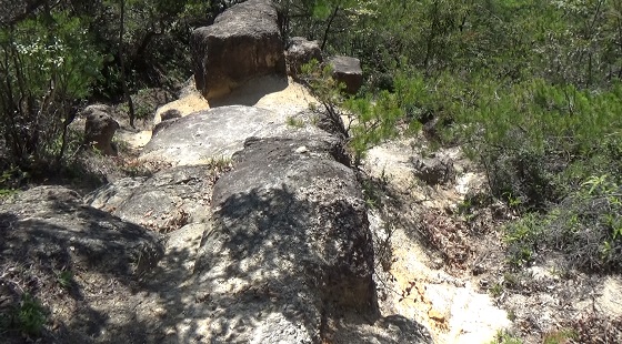 岩滝の道