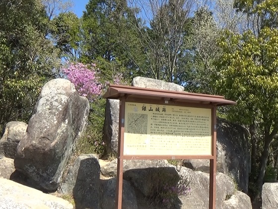 武田山山頂