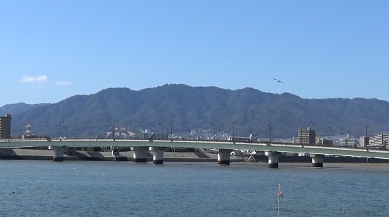新八幡川橋
