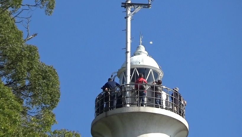 �F�i����