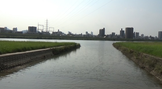 山本川