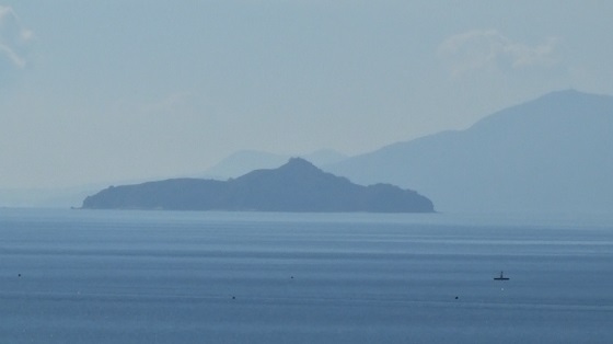 甲島