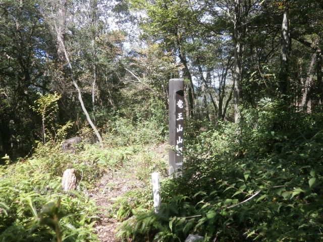 熊野竜王山山頂