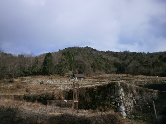 日野浦山