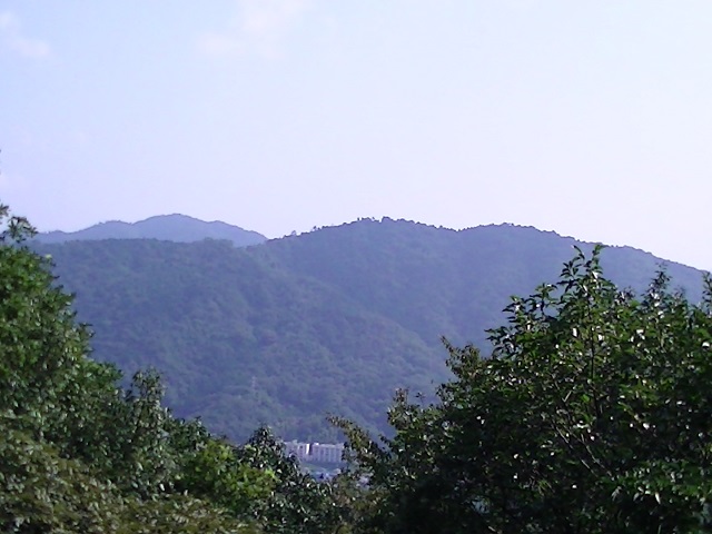 松笠山