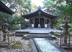 �����_��