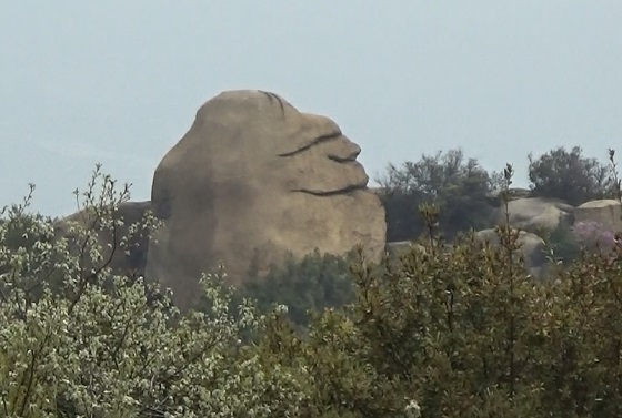 ニコニコ岩