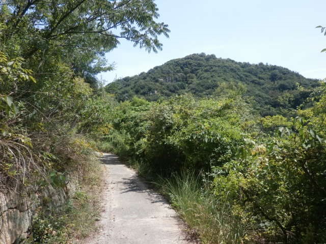 秋葉山