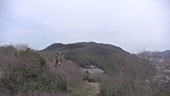 応神山