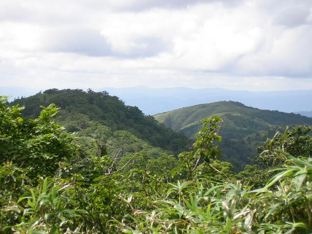 駒ノ尾山