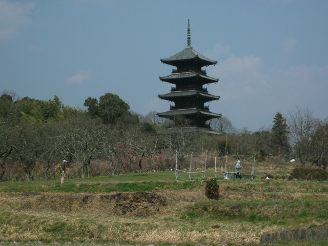 国分寺五重の塔