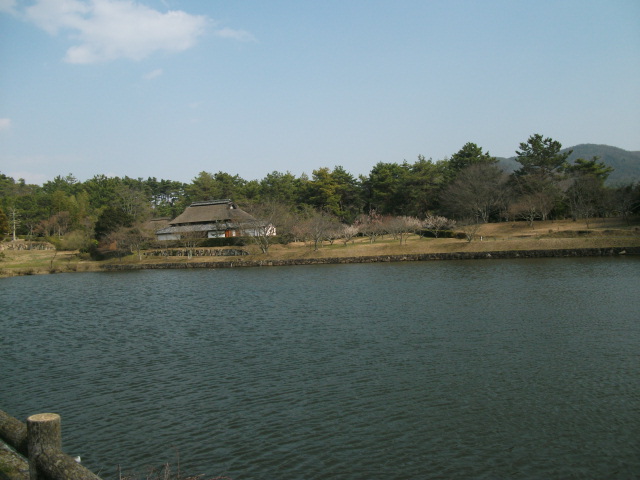松井池