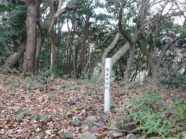 和木の山