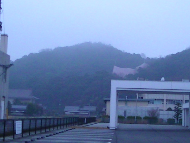 濃い霧の朝の桑山