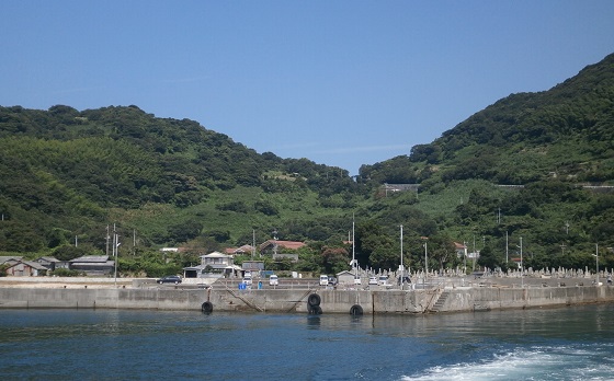 蒲井港